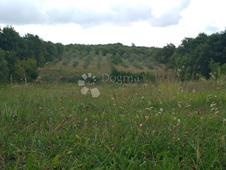 Terreno Rovinjsko Selo, Rovinj, 14.832m2