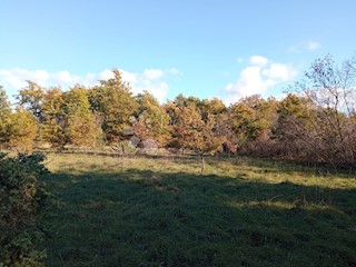 Terreno Rakalj, Marčana, 5.028m2