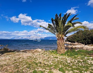 PELJEŠAC - TERRENO EDIFICABILE, VICINANZA DIRETTA AL MARE