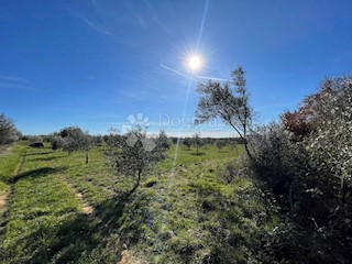 Terreno Tar, Tar-Vabriga, 3.550m2