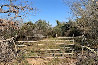 Terreno Bale, 30.058m2