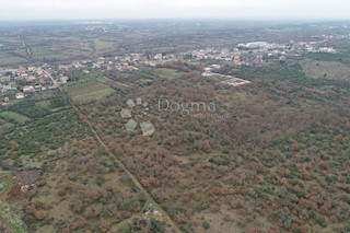 Terreno Briševo, Poličnik, 7.343m2