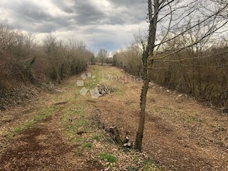 Terreno Nedešćina, Sveta Nedelja, 3.795m2