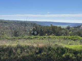 TERRENO CON VISTA MARE E OLIVETI