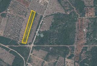 Terreno Peroj, Vodnjan, 3.213m2