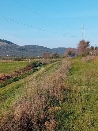 Terreno Donje Raštane, Sveti Filip I Jakov, 5.060m2