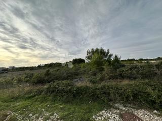 Terreno Vrsi, 2.915m2