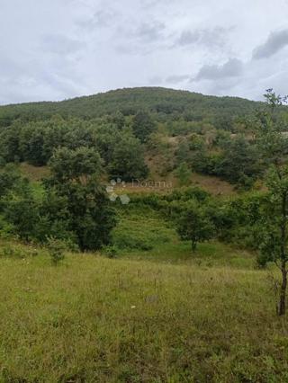 Terreno agricolo Doljani, Donji Lapac, 165.000m2