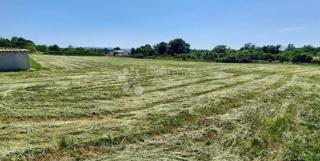 Terreno edificabile Barban, 760m2