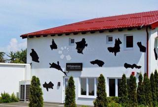 Albergo Centar, Vukovar, 252m2
