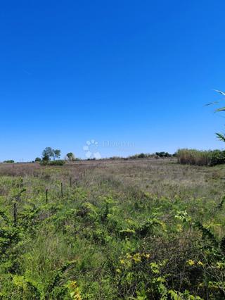 Terreno edificabile Sabunike, Privlaka, 2.342m2