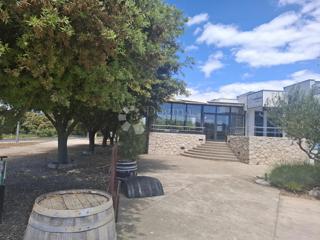 Locale commerciale Zaton, Nin, 502m2