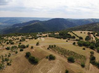 Terreno edificabile Oprtalj, 9.481m2