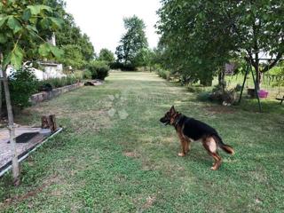 Terreno edificabile Manjadvorci, Barban, 6.149m2