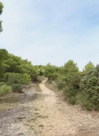 Terreno agricolo Sevid, Marina, 1.813m2