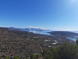 Terreno agricolo Seget Gornji, Seget, 4.850m2