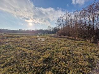 Terreno edificabile Žminj, 1.665m2