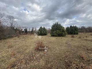 Terreno edificabile Butkovići, Svetvinčenat, 20.120m2