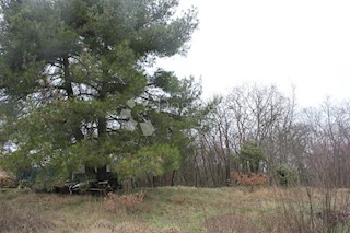 Terreno Juršići, Svetvinčenat, 3.230m2