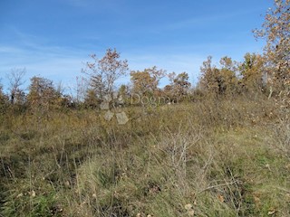 Terreno Završje, Grožnjan, 1.186m2