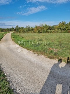 Terreno Zabrežani, Pazin - Okolica, 4.305m2