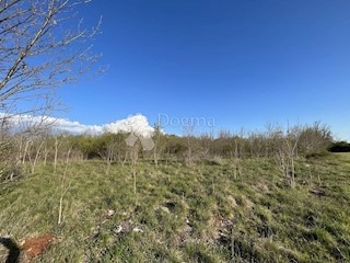 Terreno in zona industriale