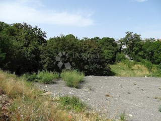 Terreno Buzdohanj, Čavle, 3.318,18m2