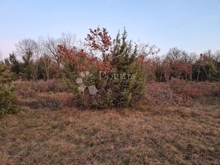 Terreno Juršići, Svetvinčenat, 5.665m2