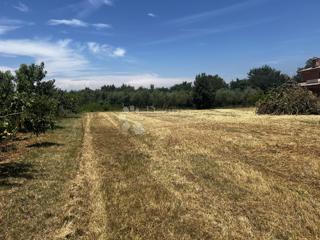 Terreno edificabile soleggiato di forma regolare