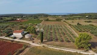 TERRENO CON PERMESSO DI EDILIZIA A 800 METRI DALLA SPIAGGIA