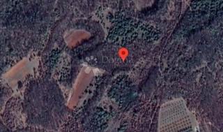 Terreno Vodnjan, 11.592m2