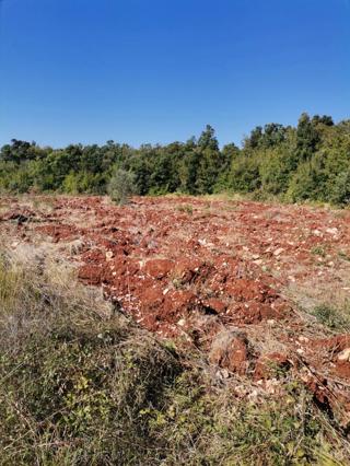 Terreno agricolo nei pressi di Valtura