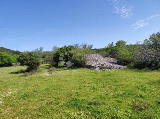 Terreno agricolo Selca, 11.274m2