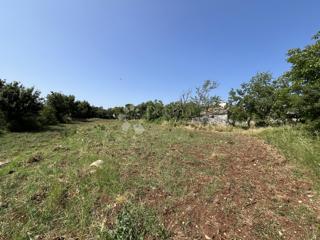 DINTORNI DI VIŠNJAN, TERRENO EDIFICABILE NELLA POSIZIONE RICHIESTA