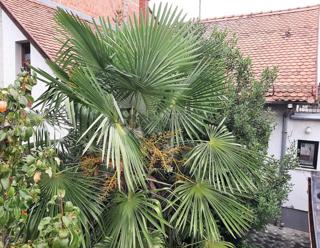 Casa Gornja Dubrava, 116m2