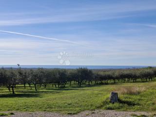 Terreno edificabile Poreč, 751m2