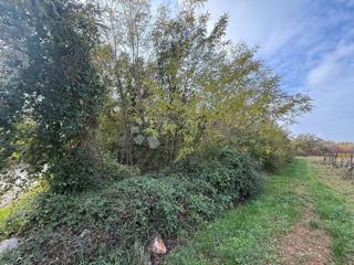 Terreno edificabile Poreč, 4.310m2