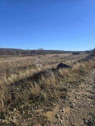 Terreno agricolo Benkovac, 7.065m2