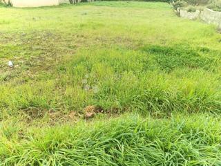 Terreno edificabile Zaton, Nin, 696m2