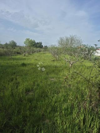 Terreno edificabile Smoković, Zemunik Donji, 2.885m2