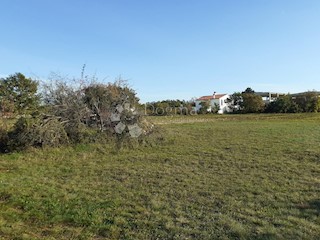 Terreno Bibići, Svetvinčenat, 5.040m2