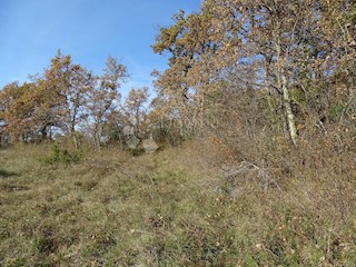 Terreno Završje, Grožnjan, 1.000m2