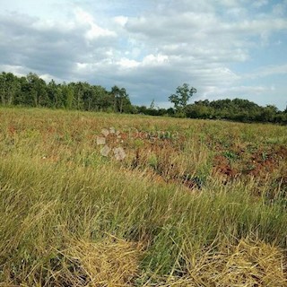 Terreno Bokordići, Svetvinčenat, 34.000m2