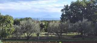 Terreno Krnica, Marčana, 3.770m2