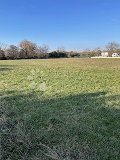 Terreno Barbariga, Vodnjan, 3.985m2