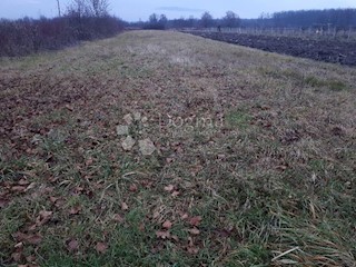 Terreno Čabdin, Jastrebarsko - Okolica, 1.601m2