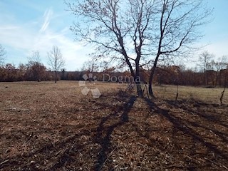 Terreno Žikovići, Višnjan, 5.676m2