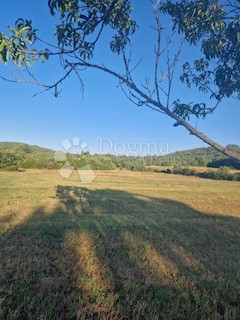 BELLISSIMO TERRENO AGRICOLO IDEALE PER UN OLIVETO