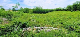 Terreno Labin, 2.710m2