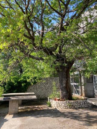 Terreno edificabile Bast, Baška Voda, 1.463m2